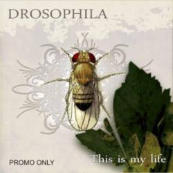 Drosophila : This Is My Life